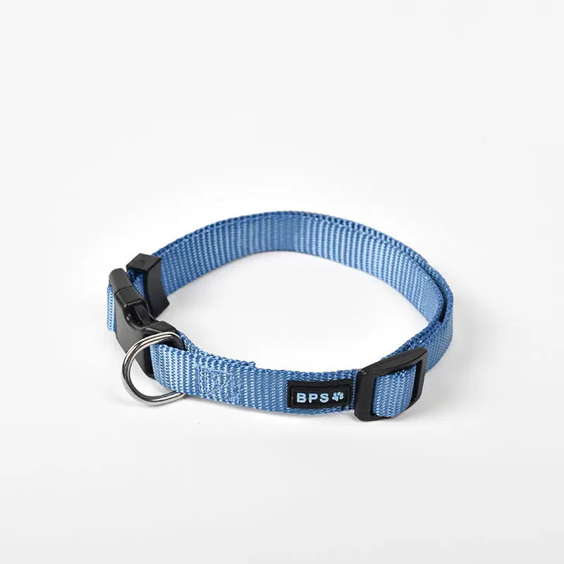 Luminous dog collar collar leash neck collar Mein Shop