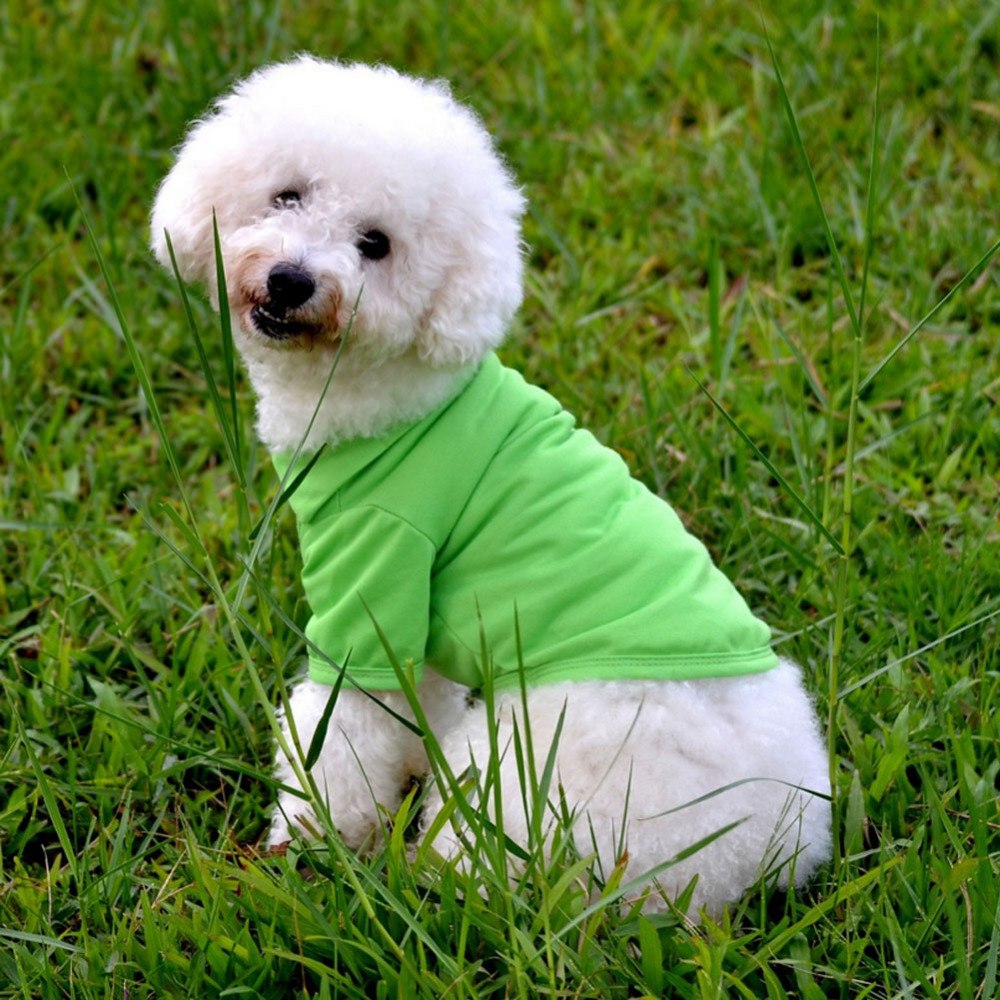 Puppy Suit Cotton Clothes Cozy Shirt Mein Shop
