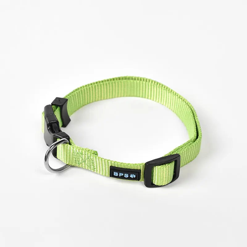 Luminous dog collar collar leash neck collar Mein Shop